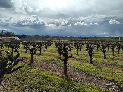 Cooper Vineyards