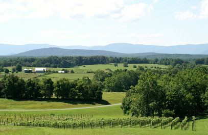 Five Oaks Vineyard
