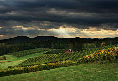 Three Sisters Vineyards & Winery