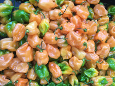 Downtown Veneta's Farmers Market