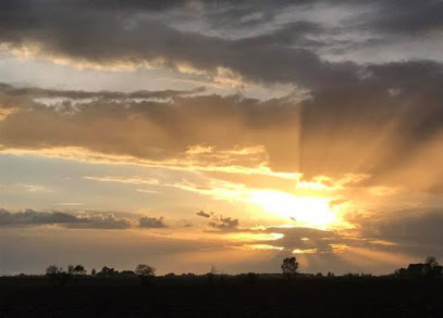 Elmer Olsen Farms