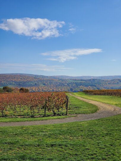 Grapevine Country Tours