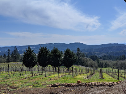 Bryn Mawr Vineyards