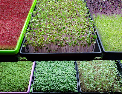 Ray Family Farms