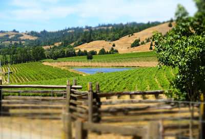 Anderson Valley Winegrowers Association