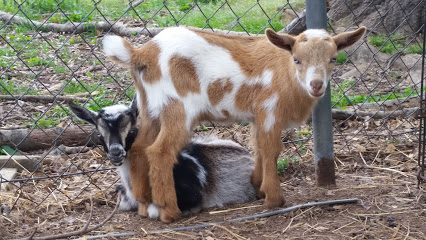 The Land of Milk & Honey Farm & Soap Co.