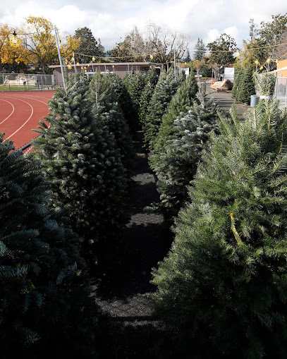 Spartans Tree Lot