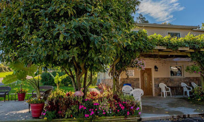 Merritt Estate Winery