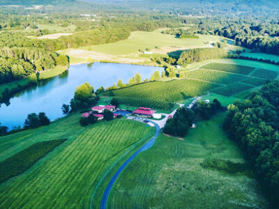 Afton Mountain Vineyards