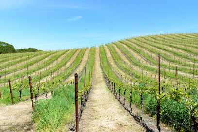 Moaveni Vineyards