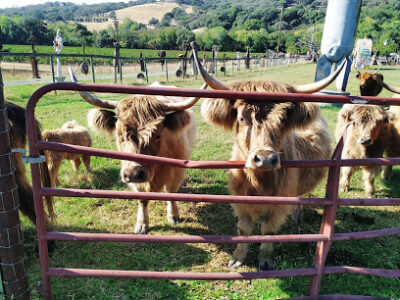 Glashoff Farms