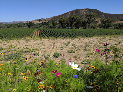 Lafond Winery & Vineyards