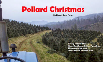 Pollard's Riversbend Farm Tree Lot