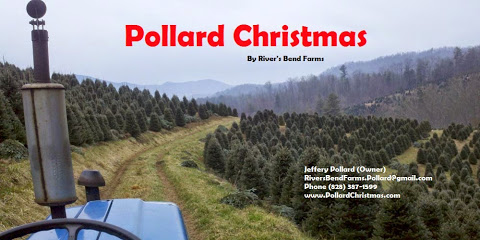 Pollard's Riversbend Farm Tree Lot