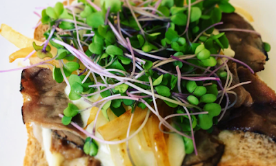 Santa Barbara Microgreens