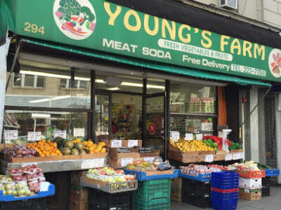 Young's Farm Inc