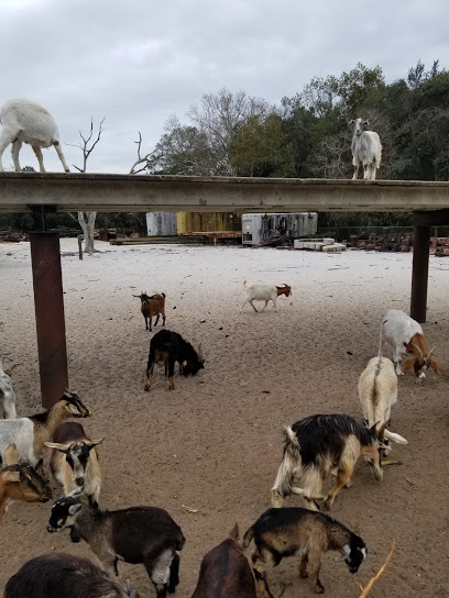 Callaway Goat Farm