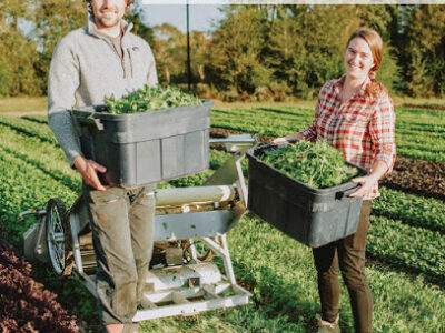 Harvie Farms New Orleans
