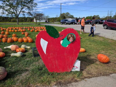 Cook's Orchard