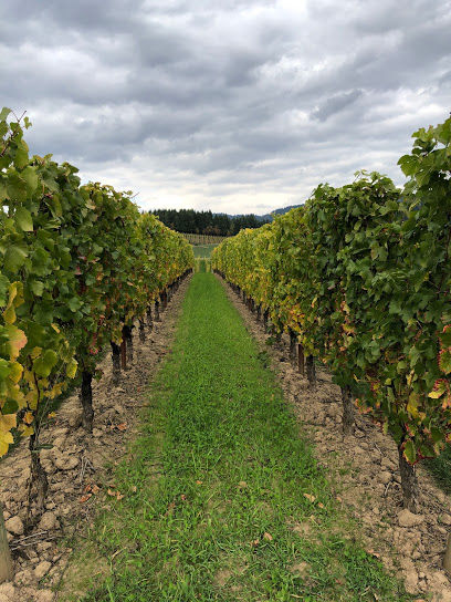 Arborbrook Vineyards LLC