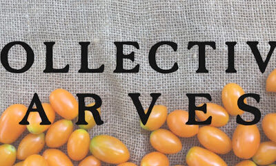 Collective Harvest