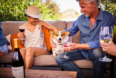 Domaine Artefact Vineyard & Winery