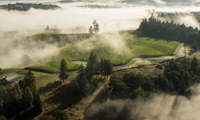 Soter Vineyards