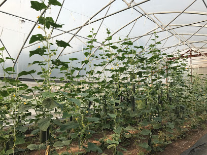 Urban Roots Farm