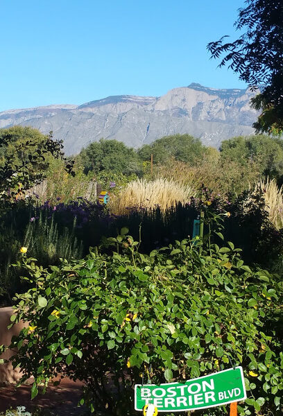 Milagro Vineyards
