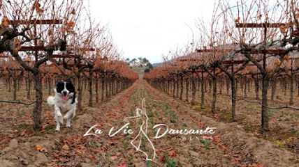 La Vie Dansante Wines