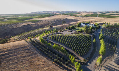Kramer Estate Wines