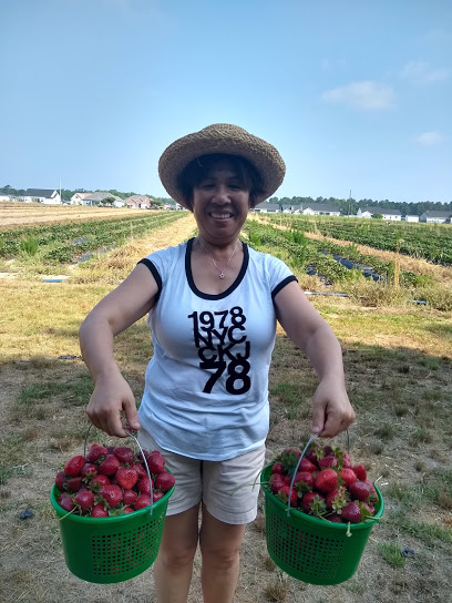 Hyman Vineyards