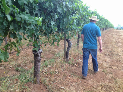 The Eyrie Vineyards