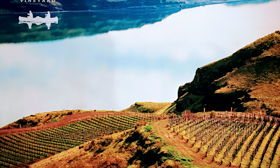 Canoe Ridge Vineyard Tasting Room