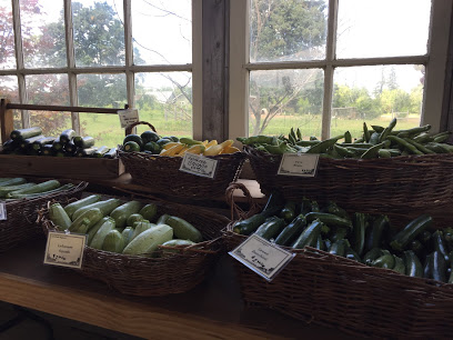 Groundwork Organics- Farm Stand
