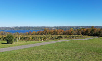 Frontenac Point Vineyard & Estate Winery