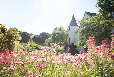 Folktale Winery & Vineyards