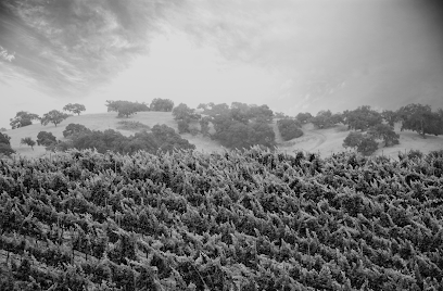 Stolpman Vineyards - Los Olivos Tasting Room