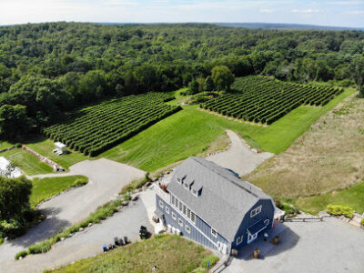 Preston Ridge Vineyard