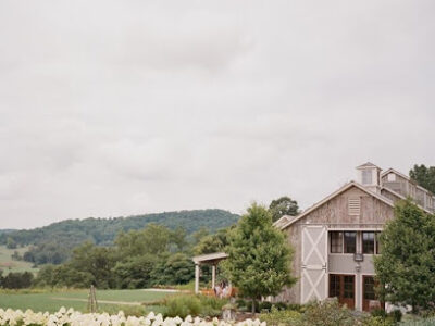 Pippin Hill Farm & Vineyards