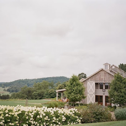 Pippin Hill Farm & Vineyards