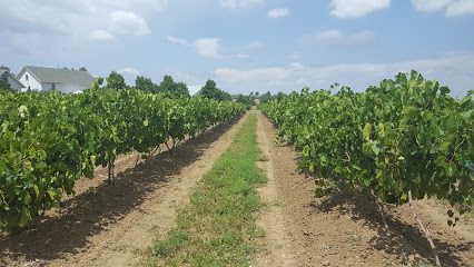 Blue Mountain Vineyards