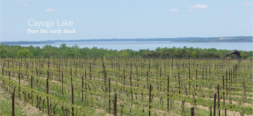 Hosmer Winery