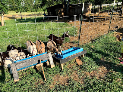 Simply Dutch Farm