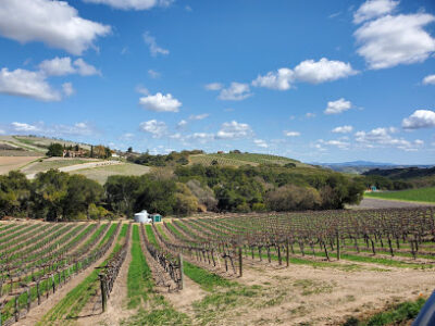 Écluse Wines