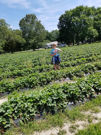 Salem Berry Farm