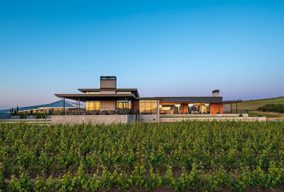 Ponzi Vineyards