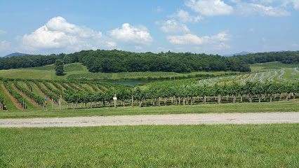 Vineyards for Biltmore Winery
