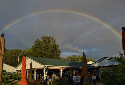 Belmont Vineyards
