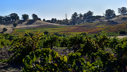 Viano Vineyards